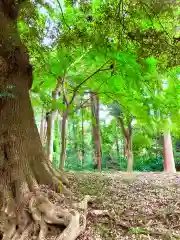 平岡鳥見神社(千葉県)