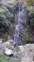 見瀧寺宝地院の自然