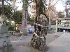 一言主神社の自然