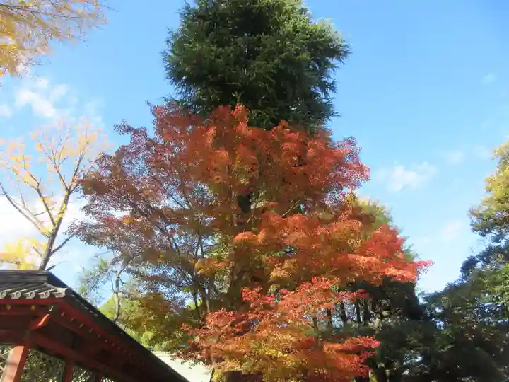 根津神社(東京都)
