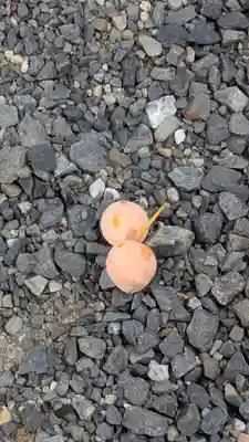 玉田神社(京都府)