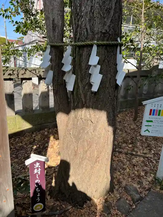 行田八幡神社(埼玉県)