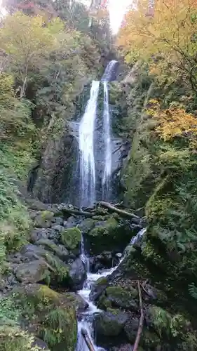 抱返神社の自然