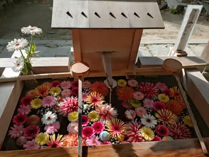 四條畷神社の{uncategorized: "未分類", other: "その他", undefined: "問題あり", building: "その他建物", grave: "お墓", sacred_gate: "鳥居", guardian: "狛犬", statue: "像", buddha: "仏像", history: "歴史", nature: "自然", garden: "庭園", animal: "動物", pagoda: "塔", temizu: "手水舎", mountain_gate: "山門・神門", sanctuary: "本殿・本堂", subordinate: "末社・摂社", art: "芸術", scenery: "景色", jizo: "地蔵", ema: "絵馬", goshuin: "御朱印", omikuji: "おみくじ", items: "授与品その他", amulet: "お守り", goshuincho: "御朱印帳", eats: "食事", festival: "お祭り", votive_dance: "神楽", shichigosan: "七五三参", wedding: "結婚式", experience: "体験その他", initially: "初詣", around: "周辺", anti_infection: "感染症対策"}