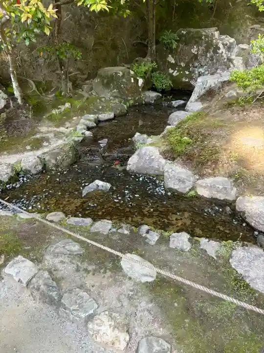 慈照寺(慈照禅寺・銀閣寺)(京都府)