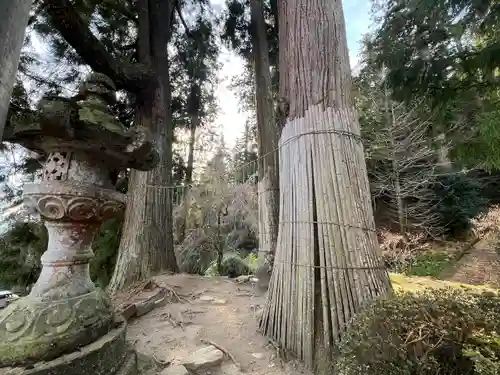 妙義神社(群馬県)