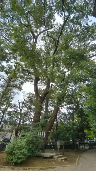 武蔵一宮氷川神社(埼玉県)