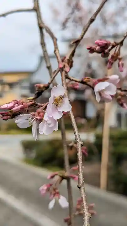 満願寺(京都府)