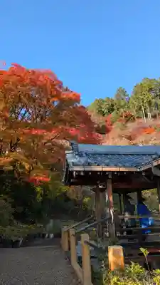 善峯寺(京都府)