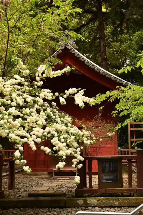 久能山東照宮(静岡県)