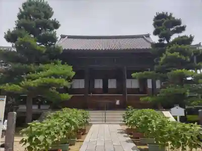 常楽寺の本殿・本堂