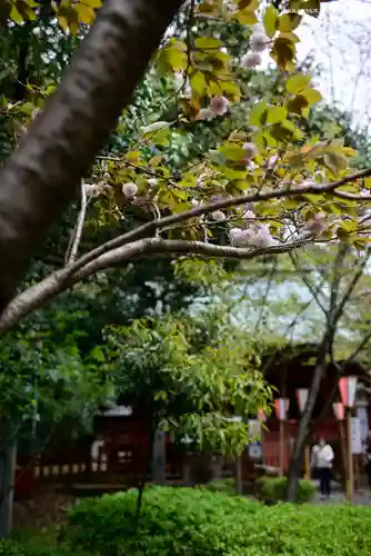 静岡浅間神社のその他建物