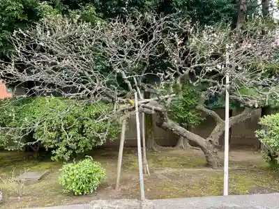 光専寺(東京都)