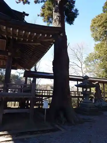 逸見神社の建物その他