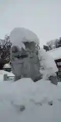 北海道護國神社の狛犬