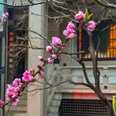 龍雲寺(東京都)