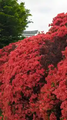 長岡天満宮(京都府)