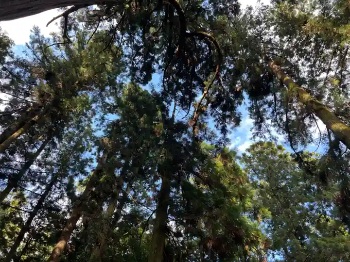 大宮温泉神社(栃木県)