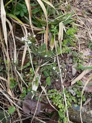 尾張冨士大宮浅間神社(愛知県)
