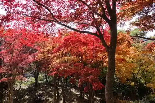 笠置寺の庭園