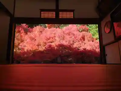 安國寺(兵庫県)