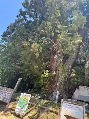 高岡神社の{uncategorized: "未分類", other: "その他", undefined: "問題あり", building: "その他建物", grave: "お墓", sacred_gate: "鳥居", guardian: "狛犬", statue: "像", buddha: "仏像", history: "歴史", nature: "自然", garden: "庭園", animal: "動物", pagoda: "塔", temizu: "手水舎", mountain_gate: "山門・神門", sanctuary: "本殿・本堂", subordinate: "末社・摂社", art: "芸術", scenery: "景色", jizo: "地蔵", ema: "絵馬", goshuin: "御朱印", omikuji: "おみくじ", items: "授与品その他", amulet: "お守り", goshuincho: "御朱印帳", eats: "食事", festival: "お祭り", votive_dance: "神楽", shichigosan: "七五三参", wedding: "結婚式", experience: "体験その他", initially: "初詣", around: "周辺", anti_infection: "感染症対策"}