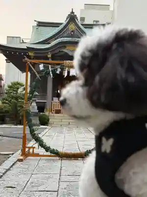 柏神社(千葉県)