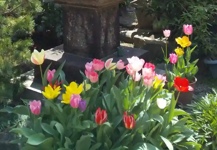 大念寺(大阪府)