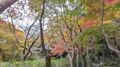 勝持寺（花の寺）(京都府)