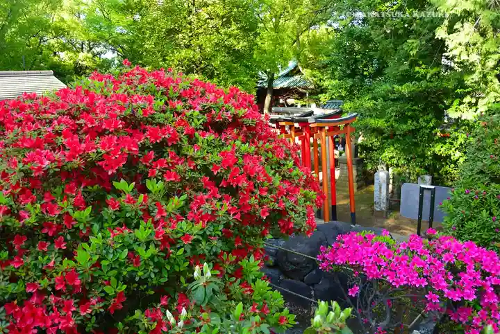 根津神社(東京都)