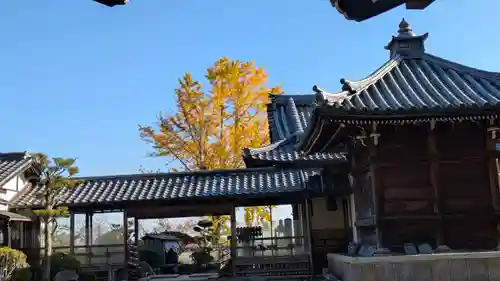 三鈷寺(京都府)