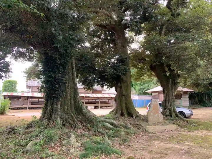 須賀神社(千葉県)