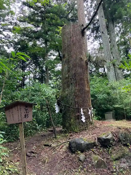 本宮神社(日光二荒山神社別宮)(栃木県)
