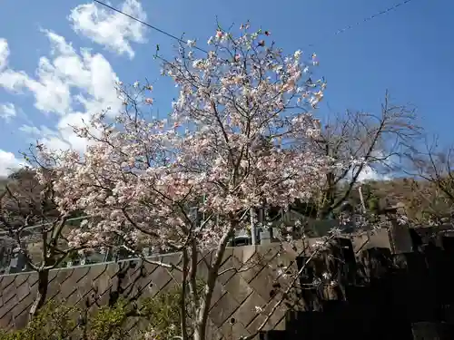 観音寺のその他建物