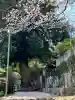 無量院(蓮華寺)の{uncategorized: "未分類", other: "その他", undefined: "問題あり", building: "その他建物", grave: "お墓", sacred_gate: "鳥居", guardian: "狛犬", statue: "像", buddha: "仏像", history: "歴史", nature: "自然", garden: "庭園", animal: "動物", pagoda: "塔", temizu: "手水舎", mountain_gate: "山門・神門", sanctuary: "本殿・本堂", subordinate: "末社・摂社", art: "芸術", scenery: "景色", jizo: "地蔵", ema: "絵馬", goshuin: "御朱印", omikuji: "おみくじ", items: "授与品その他", amulet: "お守り", goshuincho: "御朱印帳", eats: "食事", festival: "お祭り", votive_dance: "神楽", shichigosan: "七五三参", wedding: "結婚式", experience: "体験その他", initially: "初詣", around: "周辺", anti_infection: "感染症対策"}