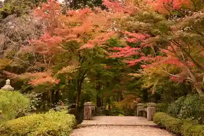 善峯寺(京都府)