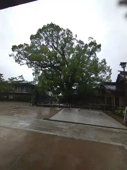 太宰府天満宮の自然