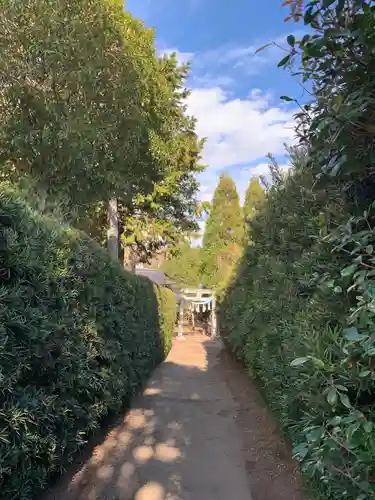 粟生巣神社(千葉県)