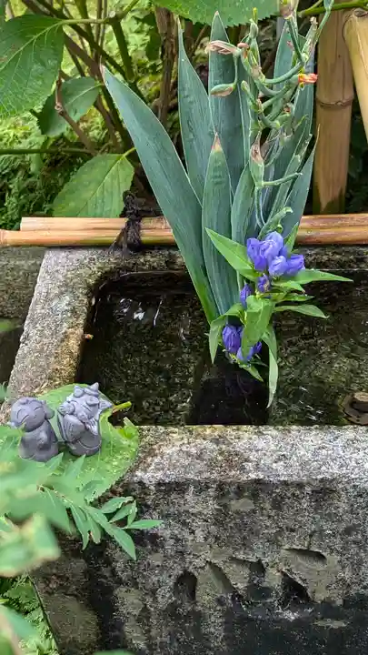 宝蔵寺(京都府)