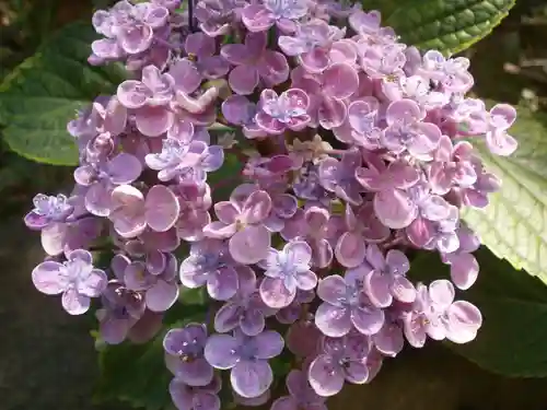 水鏡天満宮の自然