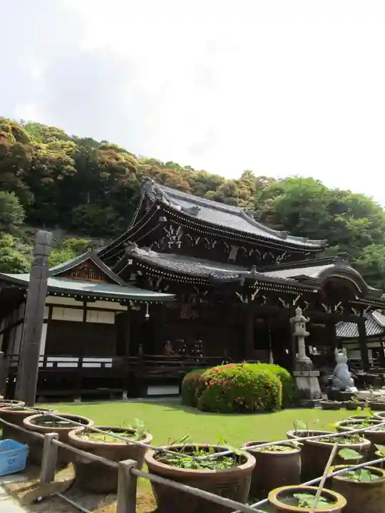 三室戸寺(京都府)
