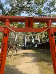 篠山神社の鳥居