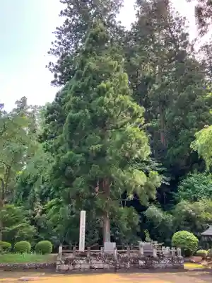 妙義神社(群馬県)