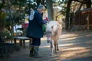 相模国総社六所神社(神奈川県)