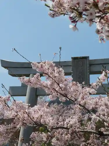 日吉大社の鳥居