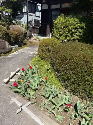 法東山 極楽寺の{uncategorized: "未分類", other: "その他", undefined: "問題あり", building: "その他建物", grave: "お墓", sacred_gate: "鳥居", guardian: "狛犬", statue: "像", buddha: "仏像", history: "歴史", nature: "自然", garden: "庭園", animal: "動物", pagoda: "塔", temizu: "手水舎", mountain_gate: "山門・神門", sanctuary: "本殿・本堂", subordinate: "末社・摂社", art: "芸術", scenery: "景色", jizo: "地蔵", ema: "絵馬", goshuin: "御朱印", omikuji: "おみくじ", items: "授与品その他", amulet: "お守り", goshuincho: "御朱印帳", eats: "食事", festival: "お祭り", votive_dance: "神楽", shichigosan: "七五三参", wedding: "結婚式", experience: "体験その他", initially: "初詣", around: "周辺", anti_infection: "感染症対策"}