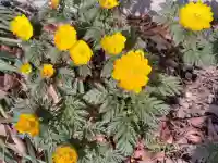 阿邪訶根神社(福島県)