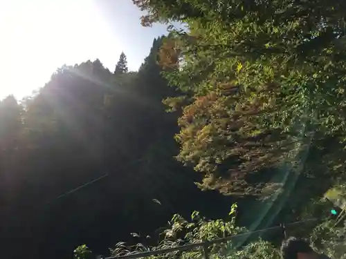 高龍神社の自然