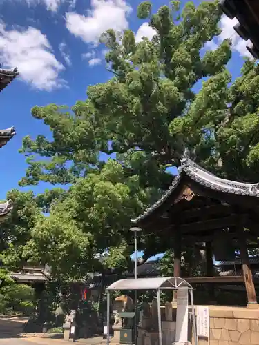 法楽寺のその他建物