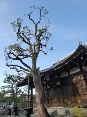 多聞院の本殿・本堂